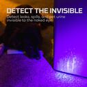 Torchy UV Flashlight & Black Light image number 7