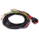 WS500 Pro Positive Van Wiring Harness image number 0