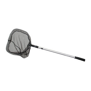 Pro Baitwell Net with Telescoping Handle