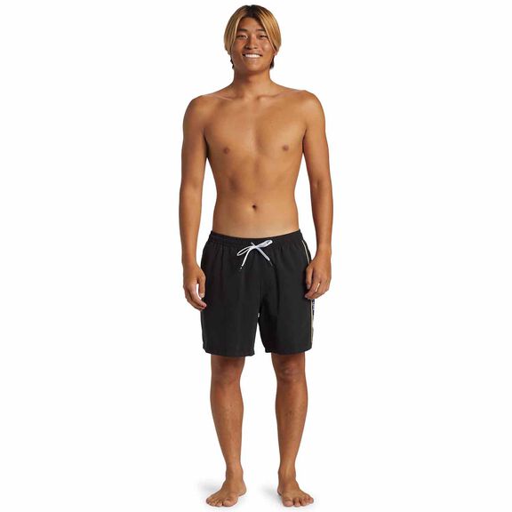 Men's Everyday Vert Volley Shorts image number 2