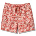 Men's Fern Garden Volley Shorts image number 0