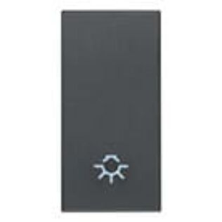 Vimar Eikon Interchangeable 1-Module Button with Lightable Lamp Symbol, Grey