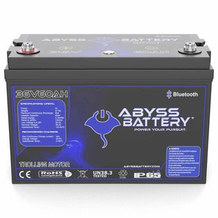 36V 60AH Lithium Iron Phosphate Group 31 Trolling Motor Battery, Bluetooth Enabled