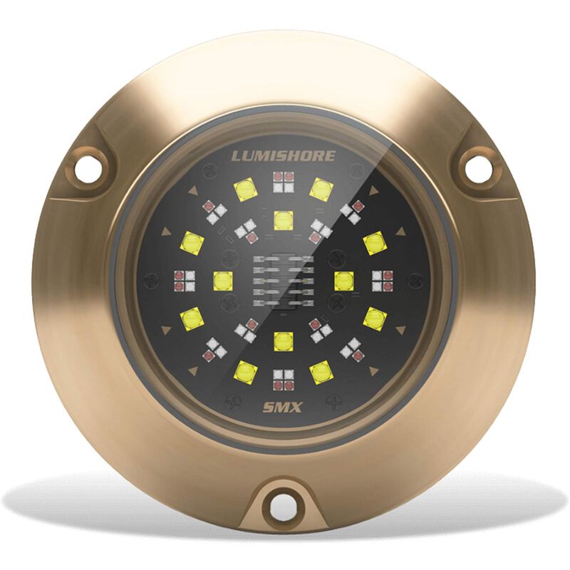 LUMISHORE Lumishore EOS SMX154 LED Surface Mount Underwater Light