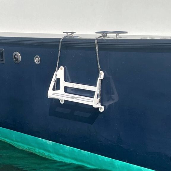 Single-Step Ladder image number 2