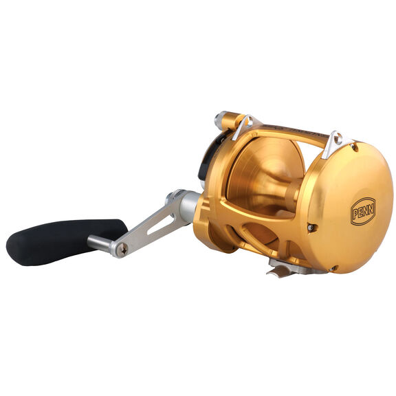International&reg; 50VISW 2-Speed Conventional Reel, Gold image number 1