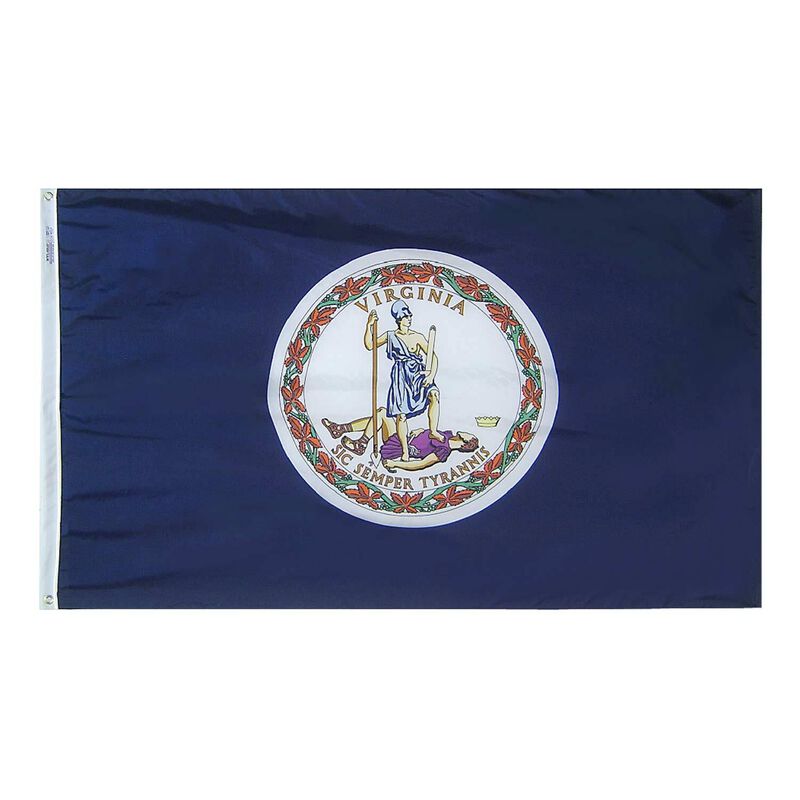12" x 18" Virginia State Flag image number 0