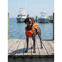 Monterey Bay Offshore Pet Life Jacket, Medium image number 3