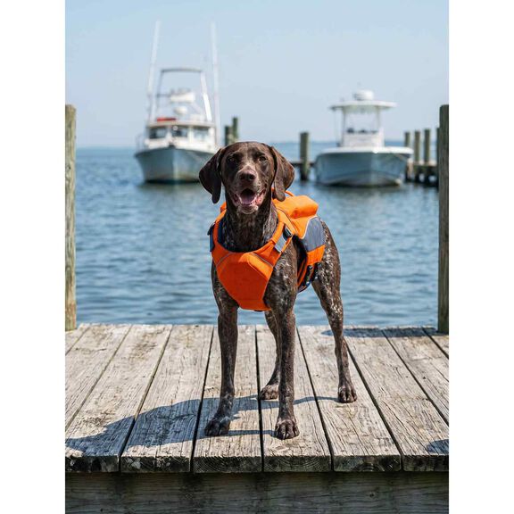 Monterey Bay Offshore Pet Life Jacket, Medium image number 3