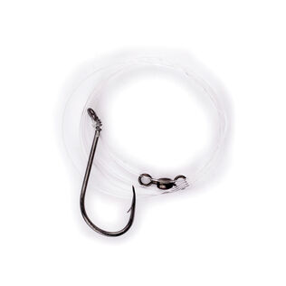 Lazer Sharp Striped Bass Rig