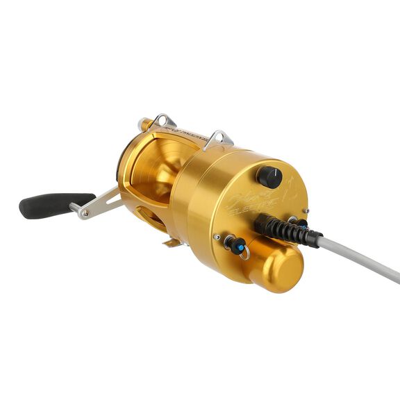 International&reg; VI 80VISW Detachable Hooker Electric Conventional Reel, Gold image number 2