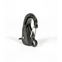 Danik Hook, Orginal Composite image number 1