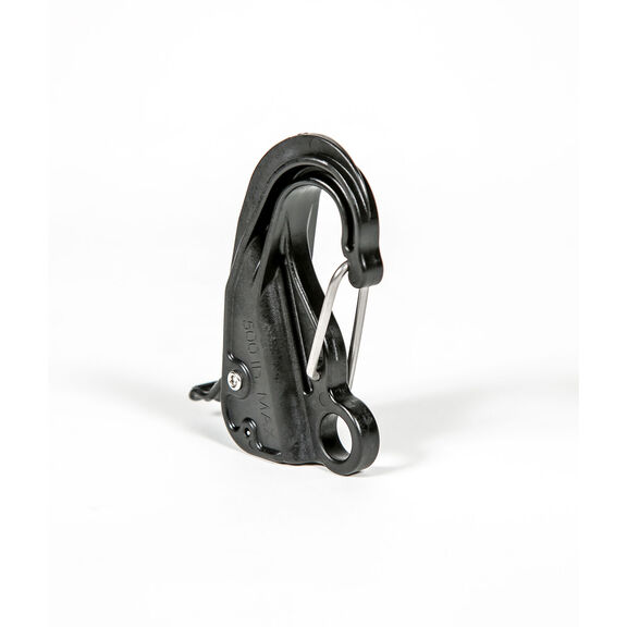 Danik Hook, Orginal Composite image number 1