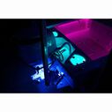 Lutra LED Livewell Light, 340 Lumen, Full-Color Spectrum image number 4