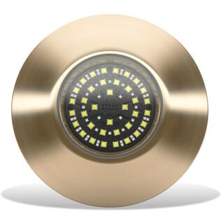 Lumishore LM600556