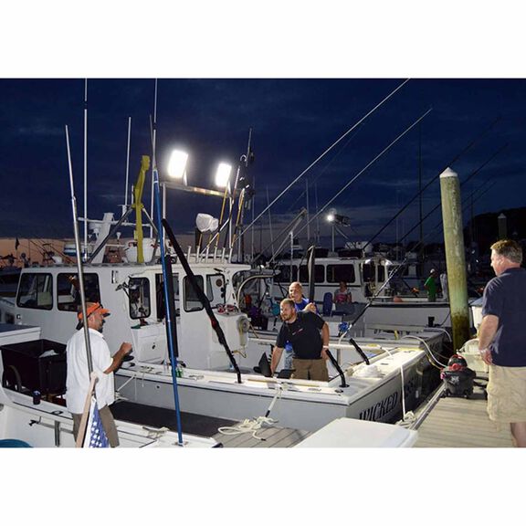 Lightship 50, 7500 Lumen LED Floodlight, Black image number 2