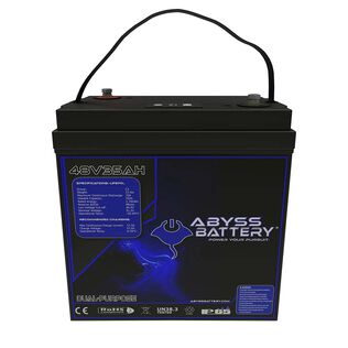 48V 35Ah GC2 Lithium Golf Cart Battery, Bluetooth Enabled