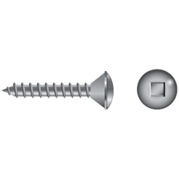 Stainless Steel Square Drive Oval-Head Tapping Screws image number 0