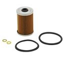 MerCruiser 5.0L, 5.7L, 6.2L, 8.1L and 8.2L V8 MPI Sterndrive and Inboard Engine 100 Hour Maintenance Kit image number 1
