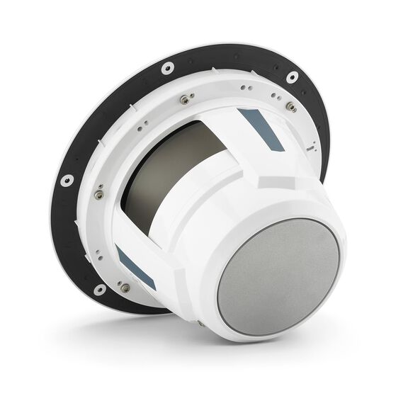 M6-10IB-L-GwGw-4  10" LUXE Premium Marine SubWoofer image number 3