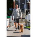 Men's Solid Performance Shorts image number 1