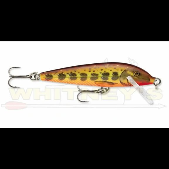 Rapala CountDown 05 Lure image number 6