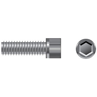 Stainless Steel Coarse Thread Cap Screws