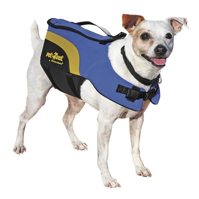 West Marine Neoprene Pet Life Jacket