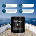 Black Widow Bottom Paint, Black, Gallon image number 5