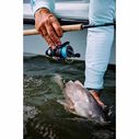 Sustain C3000HG FJ Spinning Reel image number 2