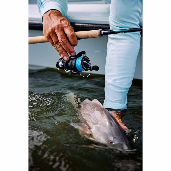 Sustain C3000HG FJ Spinning Reel image number 2