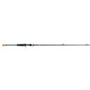 6'6" Teramar XX SW Baitcasting Rod, Medium Power image number 0