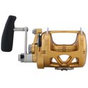 International&reg; 50VISW 2-Speed Conventional Reel, Gold image number 2