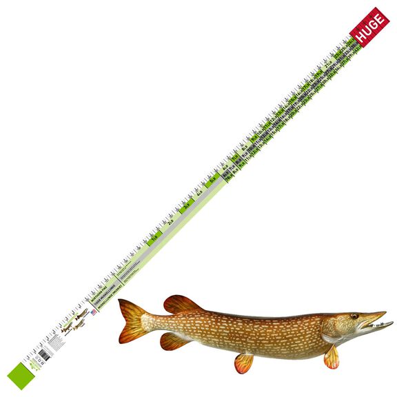 Pike/Muskie Release Ruler 53in x 2in image number 0