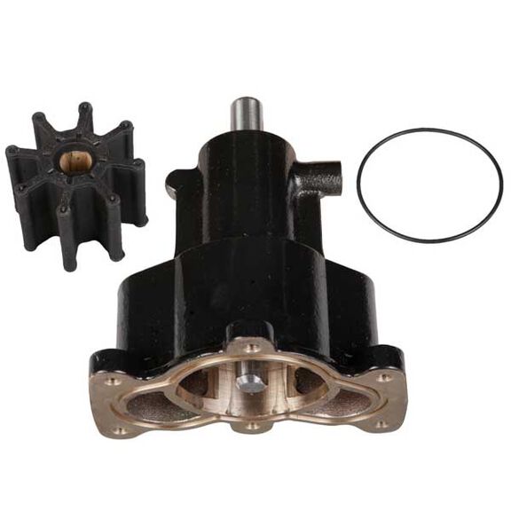 18-3160-1 Brass Sea Water Pump image number 0