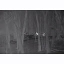Ocean Scout 240 Marine Thermal Handheld Camera image number 1
