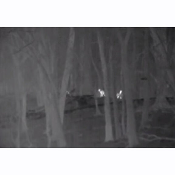 Ocean Scout 240 Marine Thermal Handheld Camera image number 1