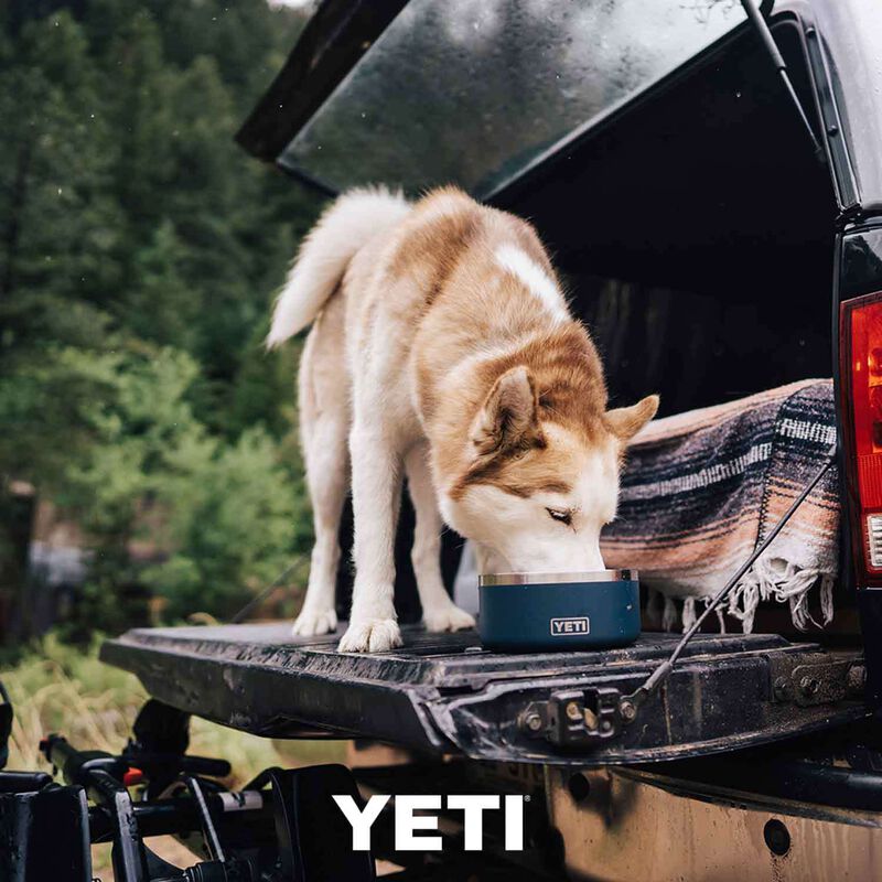 Is the Yeti No-Skid Dog Bowl Worth the Money? We Put It to the Test