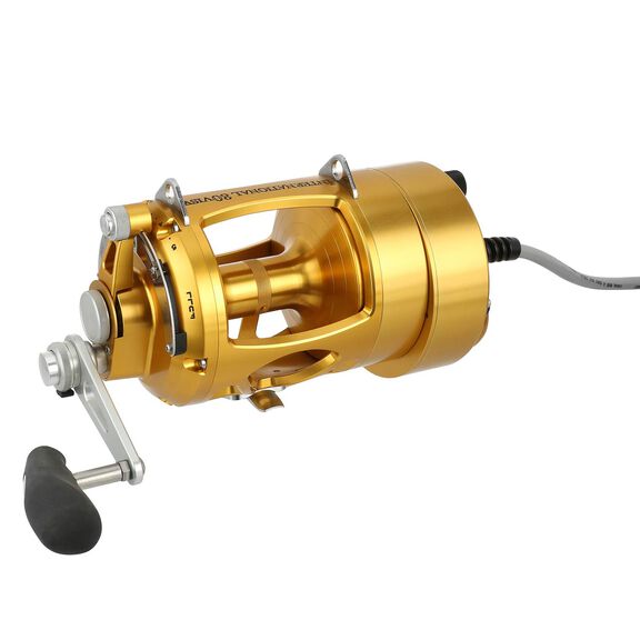 International&reg; VI 80VISW Detachable Hooker Electric Conventional Reel, Gold image number 1