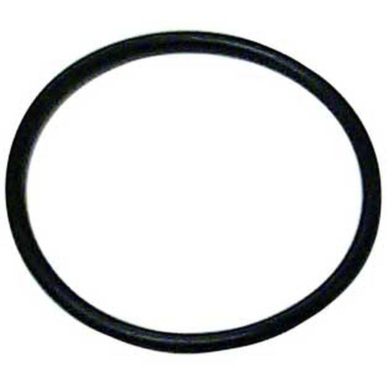 Sierra 18-7110 Cylinder Head O-Ring for Johnson/Evinrude Outboards, 12-Pack | by West Marine