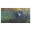 AquatiClear 3400 Water Circulator, 3/4HP, 10V, 1PH, 50' Cord image number 4