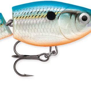 Jointed Shad Rap