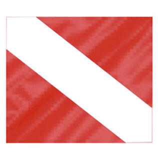 Vinyl Dive Flag