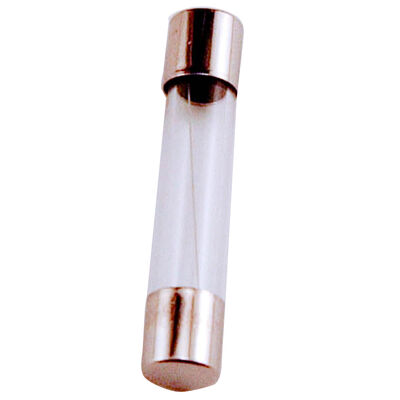 5A AGC Glass Fuses, 5-Pack