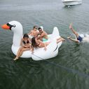 The Biggest Giant Swan image number 6