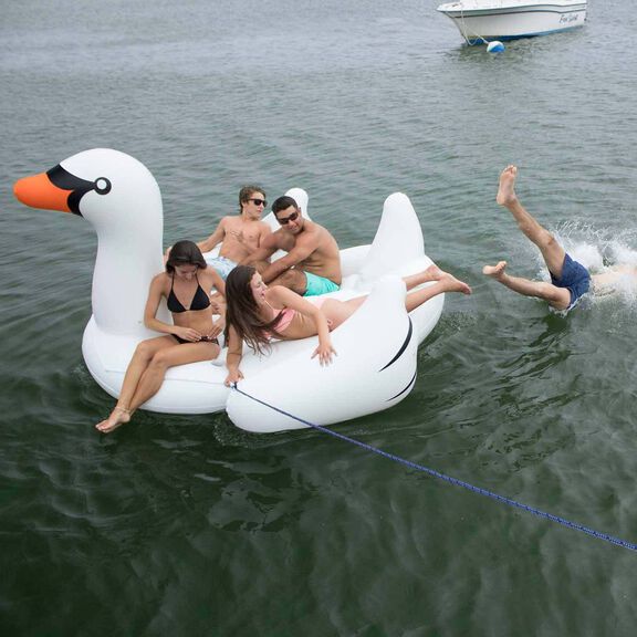 The Biggest Giant Swan image number 6