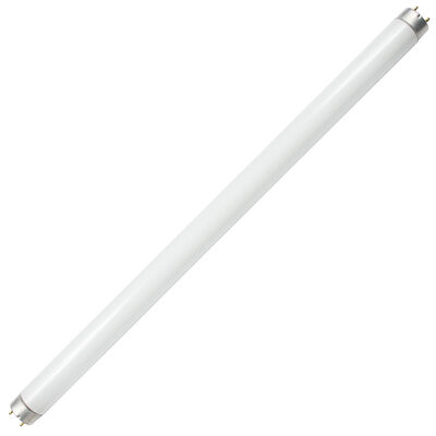 Fluorescent Replacement Lamps
