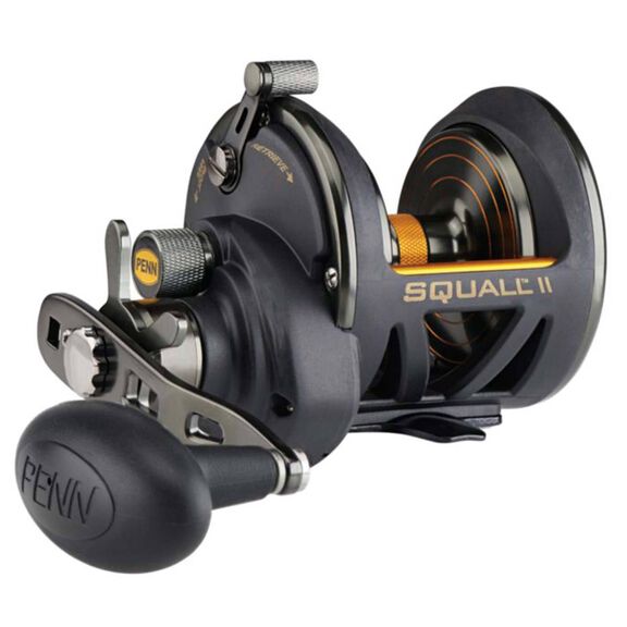 Squall II 25N Star Drag Conventional Reel image number 0