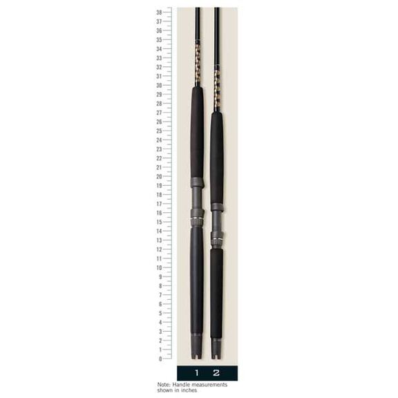 Triumph Saltwater Spinning Rods image number 0