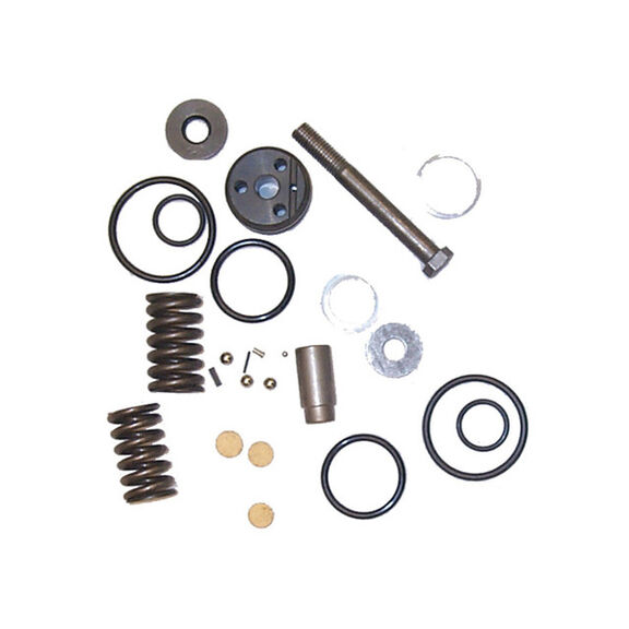 Power Trim Cylinder Repair Kit for Mercruiser Stern Drives image number 0